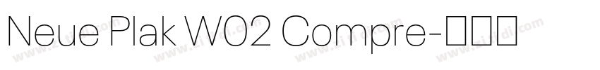 Neue Plak W02 Compre字体转换